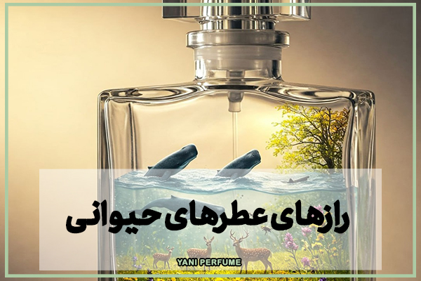 رازهای عطرهای حیوانی | دنیای پیچیده و جذاب رایحههای طبیعی