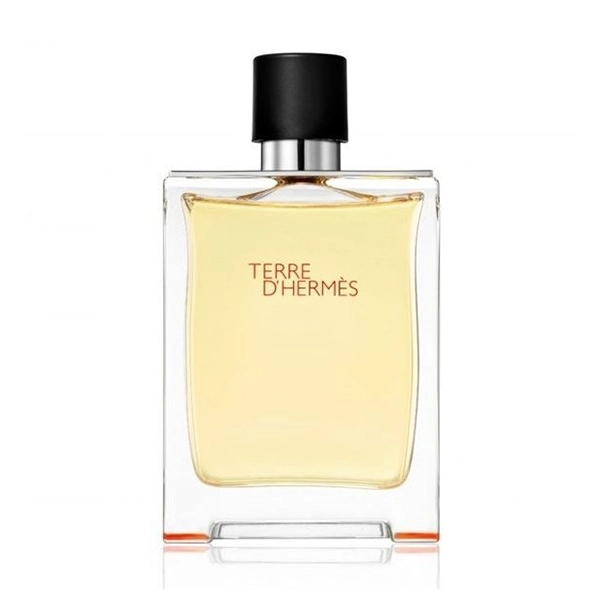 عطر تق هرمس از برند عطر یانی | Hermes Terre d’Hermes