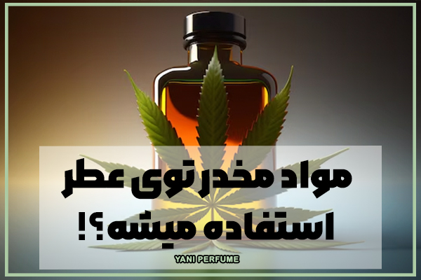 مواد مخدر توی عطر استفاده میشه؟!