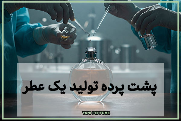 از رایحه تا بطری: پشت پرده تولید یک عطر لوکس