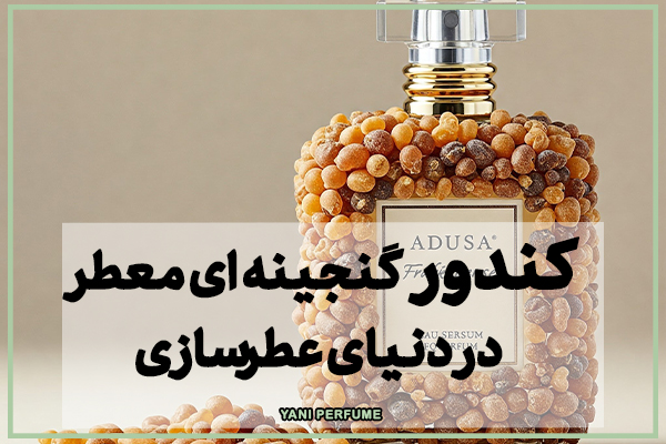 کندور | گنجینه‌ای معطر در دنیای عطرسازی