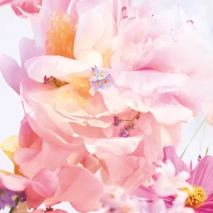 رایحه عطر میس دیور بوکت بلومینگ