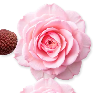 عطر مارلی دلینا از برند عطریانی | Parfums de Marly Delina