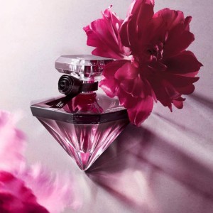 عطر لانکوم لانويت ترزور از برند عطریانی | Lancome La Nuit Tresor
