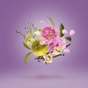 عطر زرجوف لاتوسکا از عطریانی | Xerjoff La Tosca