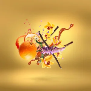 عطر کازاموراتی زرجوف لیرا از برند عطریانی | Casamorati Xerjoff Lira