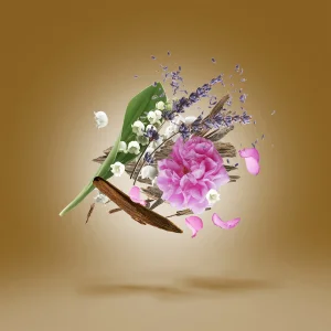 زرجوف الکساندریا دو  از عطریانی |  xerjof alexandria II