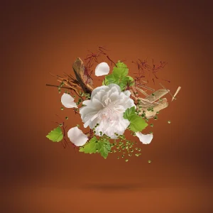 عطر کازاموراتی زرجف۱۸۸۸ | Xerjoff Casamorati 1888