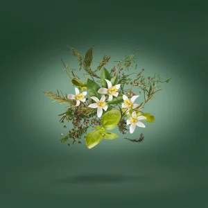 عطر کازاموراتـی هارودز ادیشن | Casamorati  Harrods