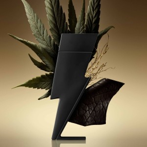 عطر کارولینا هررا بدبوی از برند عطریانی | Carolina Herrera Bad Boy