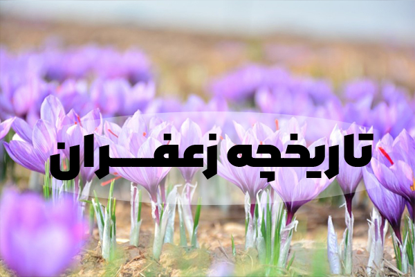تاریخچه تولید زعفران در ایران