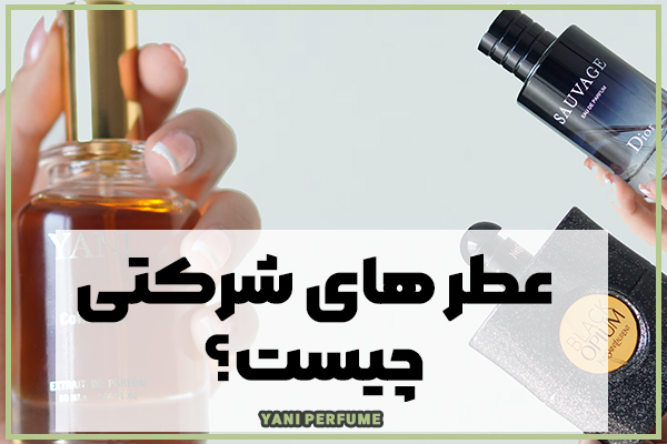 عطر شرکتی چیست؟ عطر شرکتی چه فرقی با عطر اصلی دارد؟