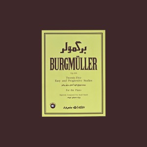 برگمولر اپوس 100