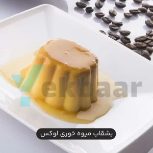 بشقاب میوه خوری یکبارمصرف لوکس پاستلی 6 عددی