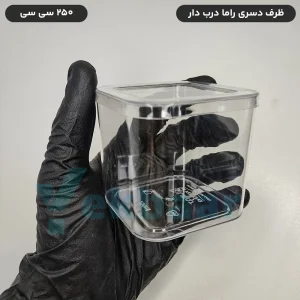 ظرف دسری یکبار مصرف درب‌دار مدل راما 250 سی سی- برند کوشا پلاست