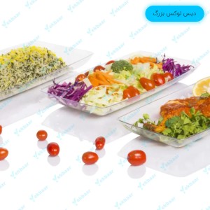 دیس لوکس بزرگ - بسته 4 عددی