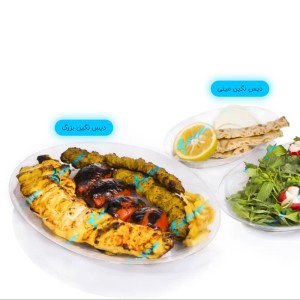 دیس یکبار مصرف بیضی بزرگ نگین بیرنگ 6 عددی