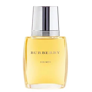 عطر باربری مردانه Burberry for men ادوپرفیوم لوریس ترکیه Loris N033 E-033