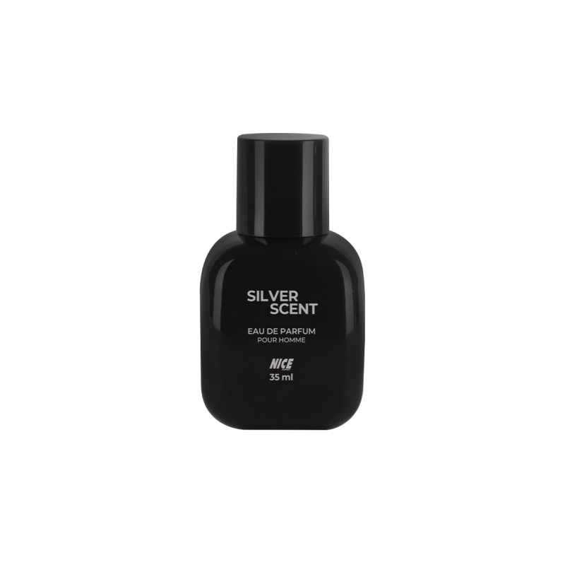 عطر مردانه مکعبی نایس پاپت مدل Silver Scent حجم 35 میلی لیتر