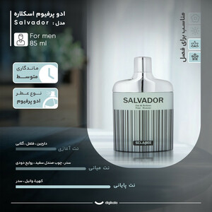 ادو پرفیوم مردانه اسکلاره مدل Salvador با رایحه گرم و تند حجم 85 میلی لیتر