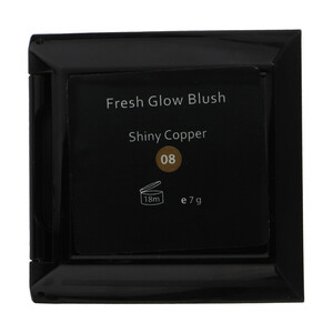 رژ گونه این لی مدل Shiny Copper 08