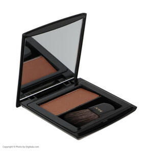 رژ گونه این لی مدل Shiny Copper 08