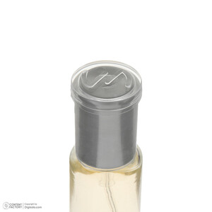 عطر جیبی مردانه صندل مدل سیلور مانتین silver mountain با رایحه خنک حجم 25 میلی‌لیتر