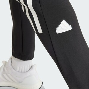 Future Icons 3-Stripes Pants