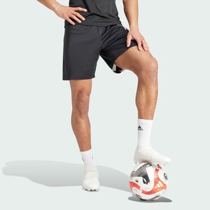 Fortore 23 Shorts