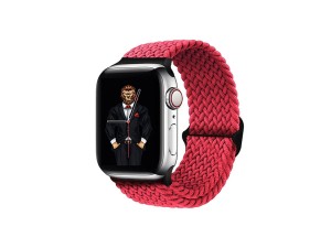 بند پارچه ای اپل واچ 38 و 40 میلی‌ متر گرین Green Apple Watch 38/40mm Braided Solo Loop Adjustable Strap