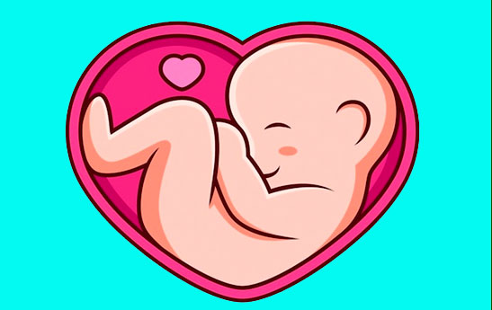 آماده سازی شرایط برای «مادر شدن» در وقتی دیگر