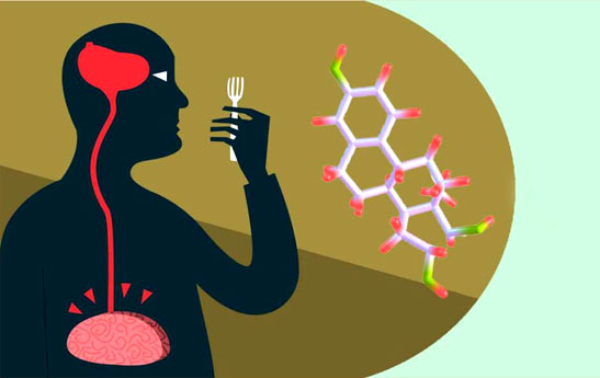 نقش هورمون ها در روند کاهش وزن