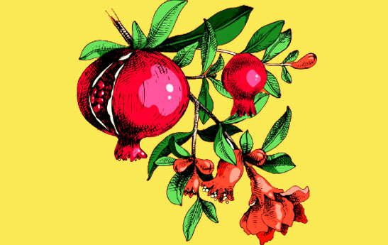 یلدا با طعم سلامتی