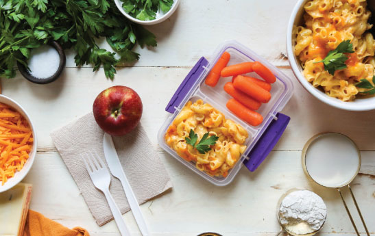 بازیگر پنهان در چاقی و بیماری‌های متابولیک میکروبیوم روده