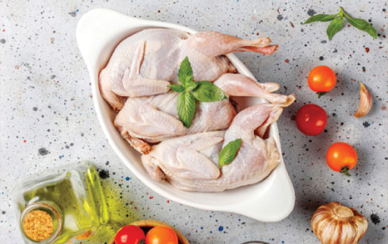 بوقلمون یا مرغ؛ کدامیک پروتئین بیشتری دارد؟