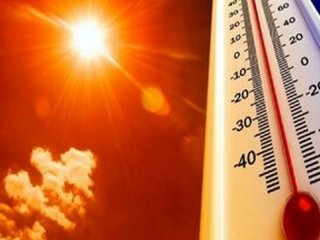 داغی هوا، فعال شدن کنه‌ها؛ مراقب تب کریمه کنگو باشید