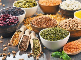 ۱۴ منبع پروتئین گیاهی عالی