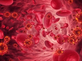کم‌خونی بدن را چگونه کنترل کنیم؟
