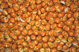 ناوساجی