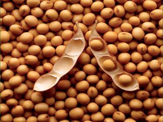 دستيابی به سلامت با استروژن‌های گياهی