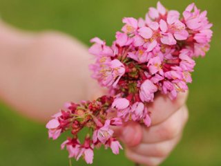 به زندگی مان معنا ببخشیم