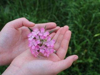 دوستی بهترین هدیه سال نو