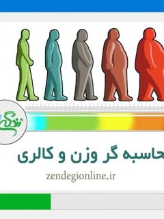 نرم افزار محاسبه گر وزن و کالری