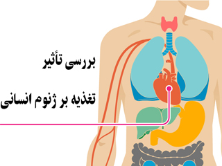 بررسي تأثیر تغذیه بر ژنوم انسانی