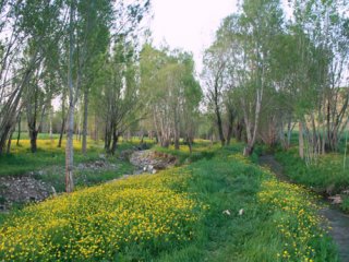 سفر به خنک ترین مناطق ایران در گرم ترین فصل سال