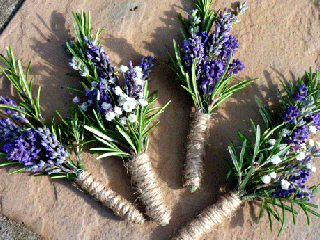 نسخه گیاهی برای درمان آلزایمر