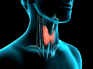 عوارض خطرناک کمبود ید در بدن