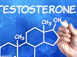 چطور با روش های طبیعی تستوسترون بدنمان را افزایش دهیم؟