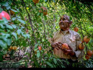 زیبایی های روستای ژیوار در کردستان