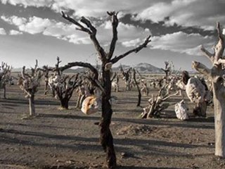 عجایب شش‌گانه ترسناک ایران